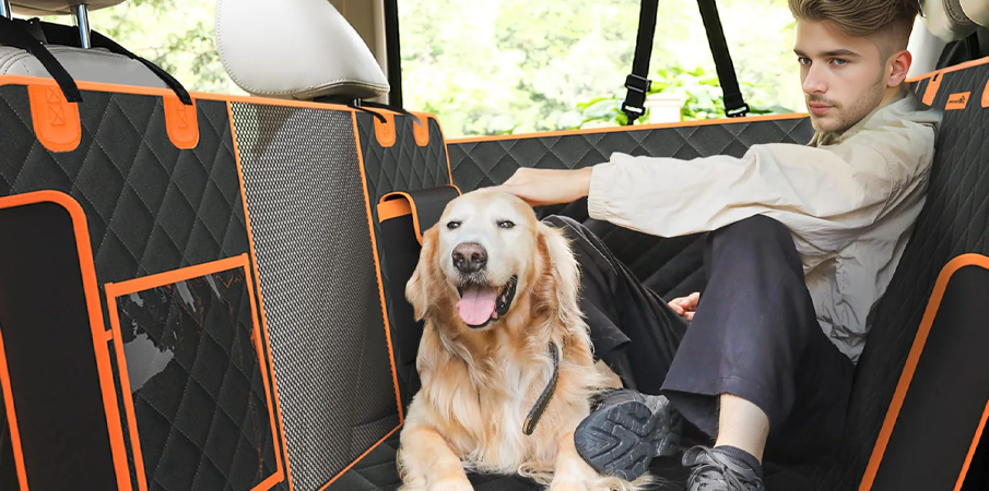 Pet-Friendly_Car_Protection_Solution_1