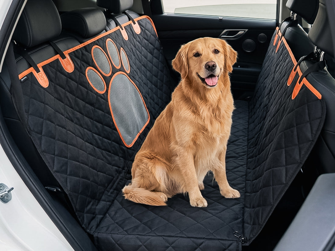 A dog resting on the hammock with the mesh paw window visible behind