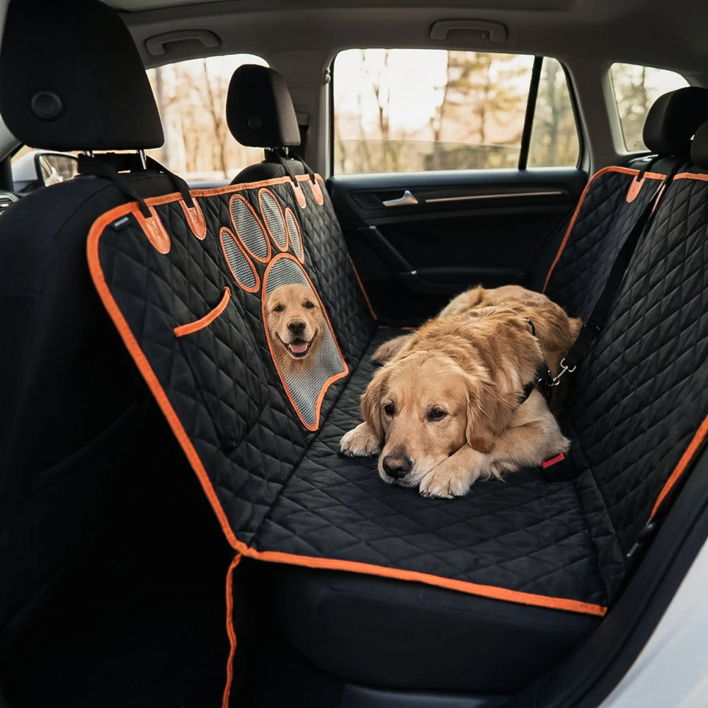 Chien calme avec fenêtre en filet et ceinture de sécurité